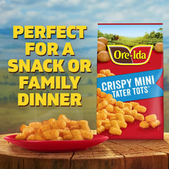 Ore-Ida Gluten Free Frozen Mini Tater Tots - 28oz