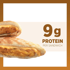 Sandwich Brothers of Wisconsin Frozen Chicken Melt - 15oz/6ct